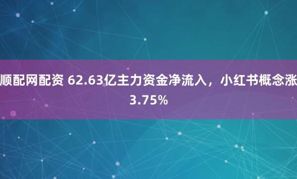 顺配网配资 62.63亿主力资金净流入，小红书概念涨3.75%